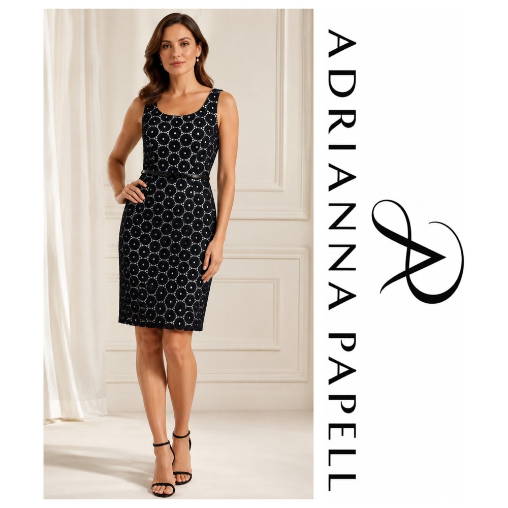 Adrianna Papell Black White Sleeveless Belted Sheath Dress Quiet Luxury 6